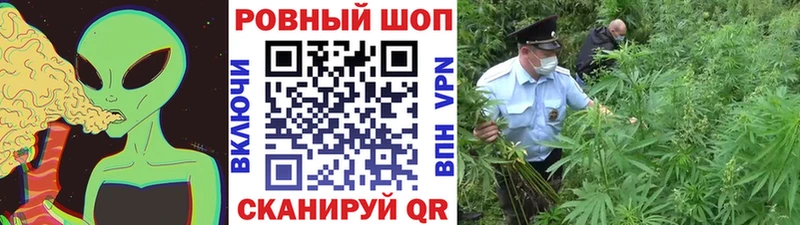 Виды наркотиков купить Дегтярск ГАШ Канабис A PVP Меф мяу мяу COCAIN
