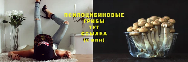 ECSTASY Алексин